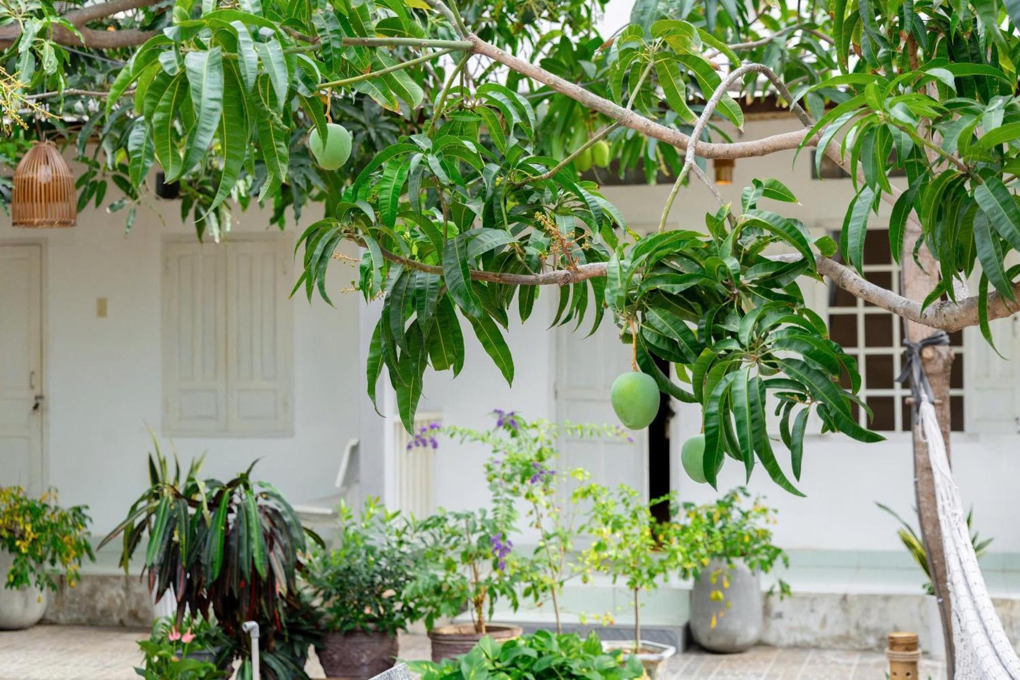 Binhyen Homestay Mui Ne Exterior photo